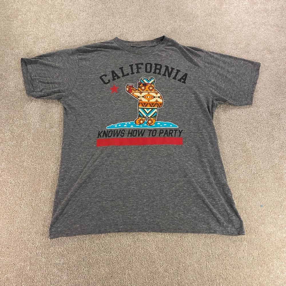 Riot Society Graphic T-Shirt Mens Large Gray California Party Bear